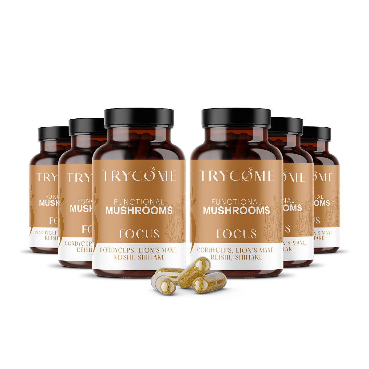 Functional Mushrooms FOCUS