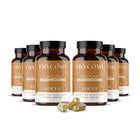 Functional Mushrooms FOCUS