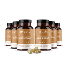 Functional Mushrooms FOCUS