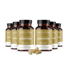 Functional Mushrooms RELIEF